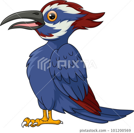 Cute woodpecker bird cartoon on white background Cute woodpecker bird cartoon on white background 101200569