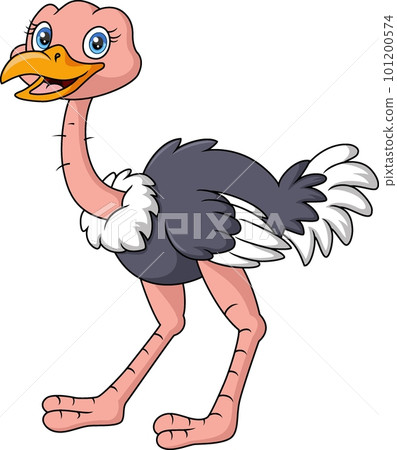 Cute ostrich cartoon isolated on white background Cute ostrich cartoon isolated on white background 101200574