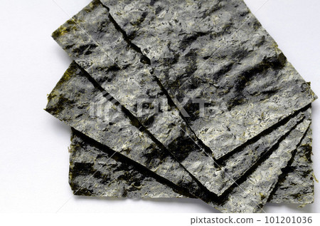 幹海帶 101201036