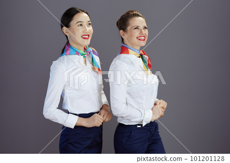 happy elegant female flight attendants isolated on grey happy elegant female flight attendants isolated on grey 101201128