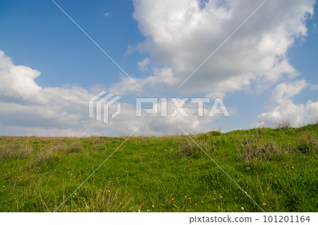 blue sky with white wonderful clouds over a green meadow 101201164