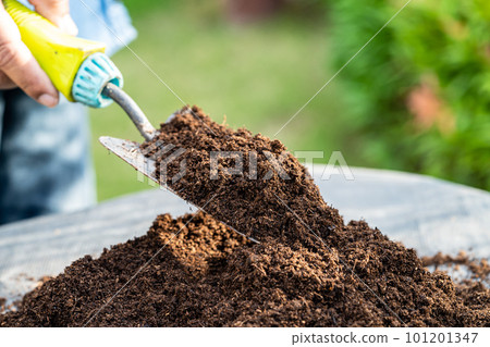Gardener woman holding peat moss organic matter improve soil for agriculture organic plant growing, ecology concept. 101201347
