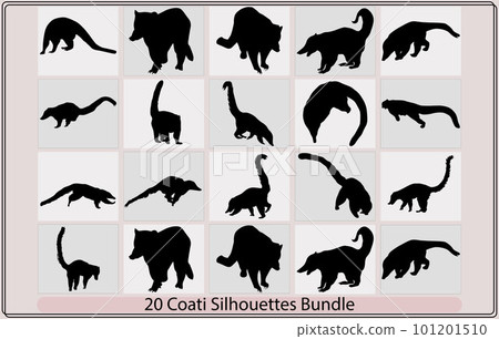 Coati Animal Logo Design tail,Silhouette of South American coati,Animals South America 101201510