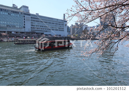 大阪的春天和櫻花的風景：流經大阪市內的大川和南天滿公園的觀光船 101201512