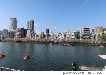 View of Okawa and Minamitenma Park with cherry blossoms and sightseeing boats View of Okawa and Minamitenma Park with cherry blossoms and sightseeing boats 101201569