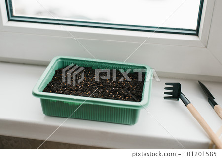 Container with peat and planted seeds with a garden tool at home on the windowsill 101201585