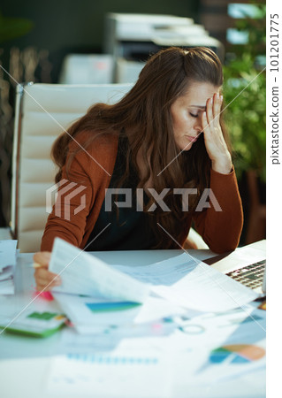 business owner woman in green office working with documents 101201775