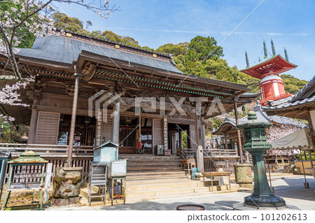 [No. 23 Fudasho] Yakuoji Temple Main Hall and Yugi Pagoda in Spring [Shikoku 88 Temples] 101202613