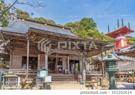 [No. 23 Fudasho] Yakuoji Temple Main Hall and Yugi Pagoda in Spring [Shikoku 88 Temples] 101202614
