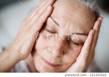 Portrait of senior woman resting in her apartment. 101202828
