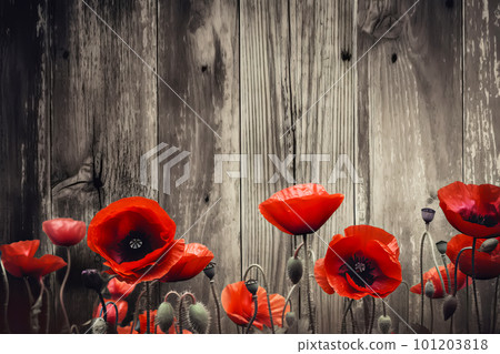 Red poppies as a symbol of memory for the fallen in the war. VE-Day, World War remembrance day. Generative AI illustration 101203818