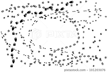 Animal tracks isolated on a white Animal tracks isolated on a white 101203876