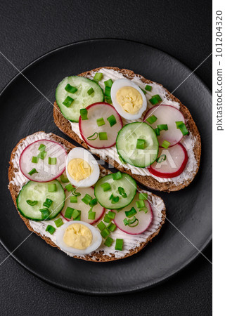 Delicious sandwich or bruschetta with cream cheese radish and green onions 101204320