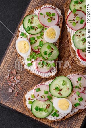 Delicious sandwich or bruschetta with cream cheese radish and green onions 101204359