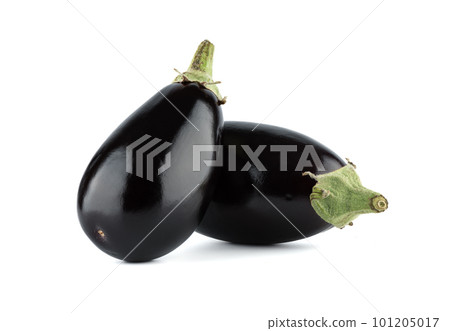 Two ripe whole eggplant isolated on white background. 101205017
