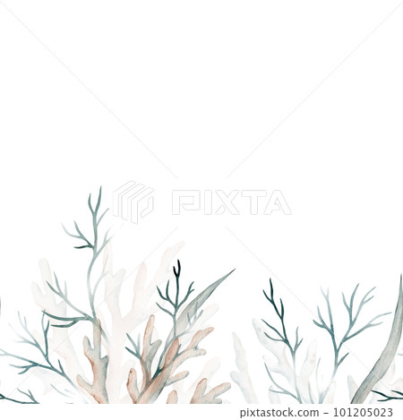 Watercolor banner with green seaweeds, corals. Marine frame. Decorative element for greeting card. Illustration Watercolor banner with green seaweeds, corals. Marine frame. Decorative element for greeting card. Illustration 101205023
