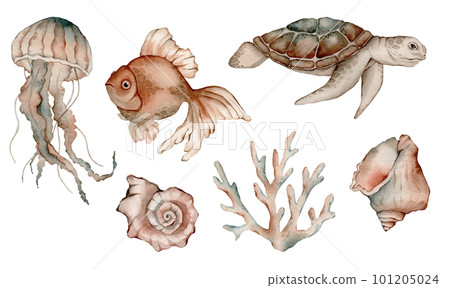 Set of sea animals poster. Blue, greeen, brown watercolor ocean jellyfish, medusa, fish aquarium, shell, coral. Nautical wildlife marine illustration Set of sea animals poster. Blue, greeen, brown watercolor ocean jellyfish, medusa, fish aquarium, shell, coral. Nautical wildlife marine illustration 101205024