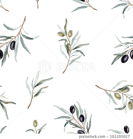 Watercolor seamless pattern with black and green olives and branch. Hand painted olives isolated on white background. Botanical illustration for design, print, fabric or background 101205027