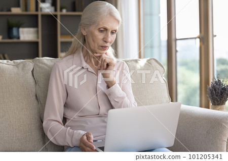Serious senior woman using online application on laptop at home Serious senior woman using online application on laptop at home 101205341