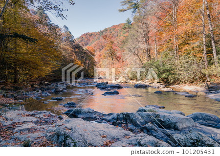 Big Laurel Creek 101205431