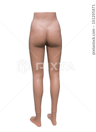 Female mannequin, isolated on white background 101205871