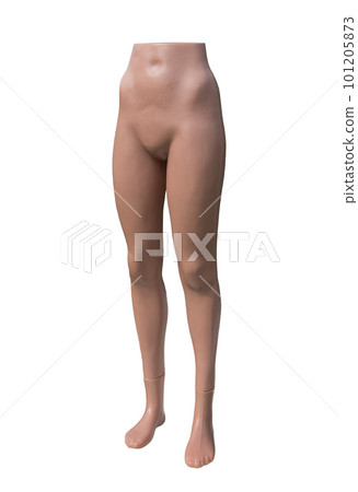 Female mannequin, isolated on white background 101205873