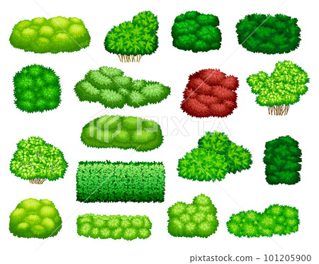 Different Bushes as Perennial Woody Plant with Dense Foliage Cover Big Vector Set 101205900
