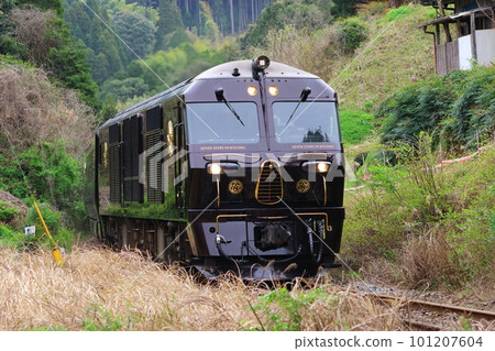 九州七星 九州七星 101207604