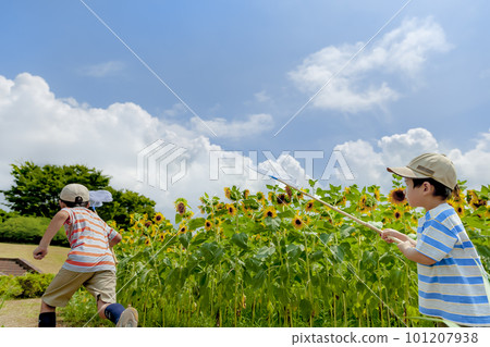 在向日葵公園追蟲的兄弟 101207938