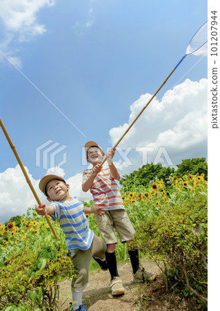 Brothers chasing bugs in a sunflower park Brothers chasing bugs in a sunflower park 101207944