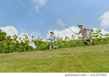 Brothers chasing bugs in a sunflower park Brothers chasing bugs in a sunflower park 101207949