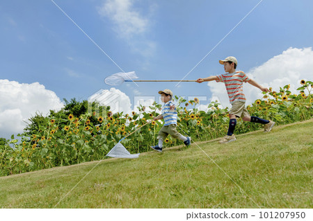 在向日葵公園追蟲的兄弟 在向日葵公園追蟲的兄弟 101207950