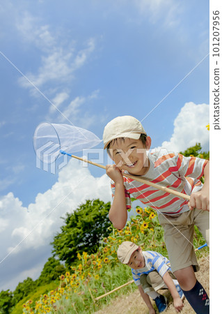 Brothers chasing bugs in a sunflower park Brothers chasing bugs in a sunflower park 101207956