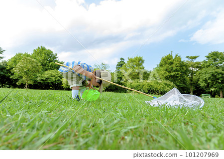 一個男孩在公園裡看著昆蟲籠 一個男孩在公園裡看著昆蟲籠 101207969