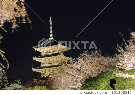 Toji Light Up Toji Light Up 101208815