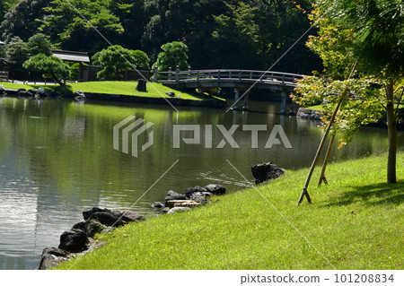 Hamarikyu Garden Shioiri Pond 101208834