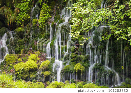 Waterfall flowing through mossy rocks 101208880