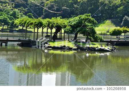 濱離宮庭園 潮入池 101208938