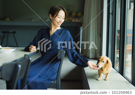 miniature dachshund and woman miniature dachshund and woman 101208963
