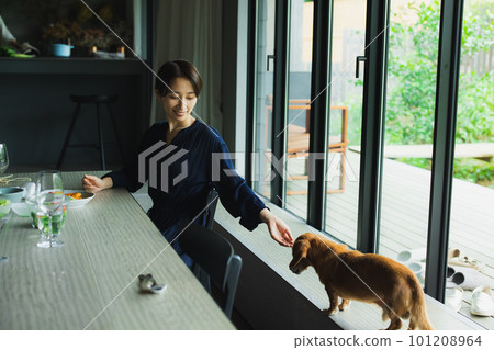 迷你臘腸犬和女人 迷你臘腸犬和女人 101208964