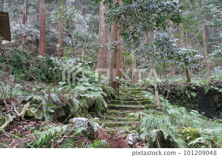 Early spring scenery of Kinosaki Onsen Early spring scenery of Kinosaki Onsen 101209048