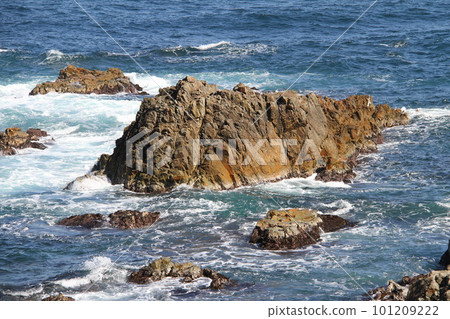 Early spring scenery of Kinosaki Onsen Early spring scenery of Kinosaki Onsen 101209222