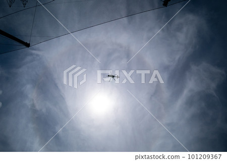 直升飛機 直升機 藍天 101209367