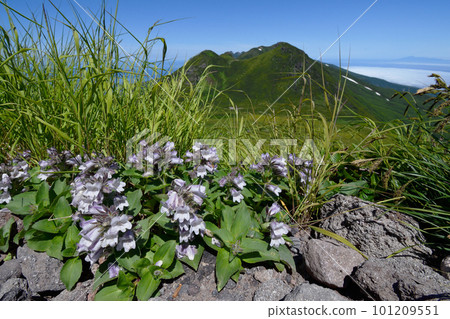 Iwabukuro and Shiretoko mountain range (Shiretoko, Hokkaido) 101209551