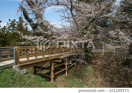 群馬縣水上町名古見城址、堀切本閣橋 101209573