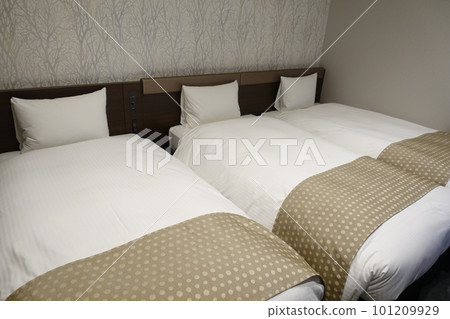 Hotel triple room triple room 101209929