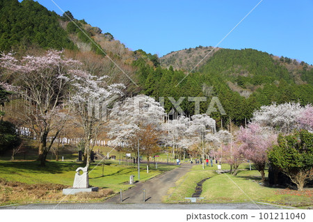 [Usumi Park] / Motosu City, Gifu Prefecture 101211040