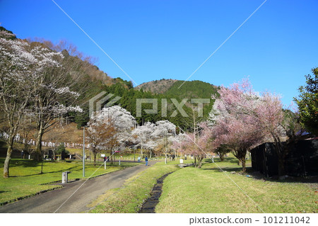 [Usumi Park] / Motosu City, Gifu Prefecture 101211042