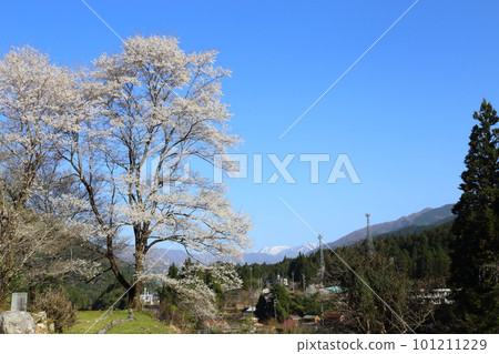 [Usumi Park] / Motosu City, Gifu Prefecture 101211229