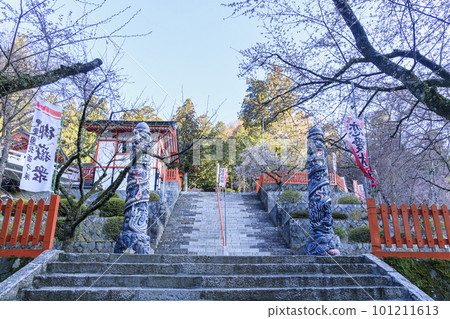 金櫻神社甲府 101211613